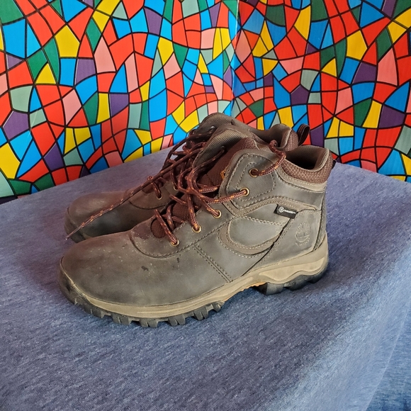 Timberland Junior Mt. Maddsen Waterproof Mid Hiking Boot Boys Size 5.5 Brown - Picture 1 of 10